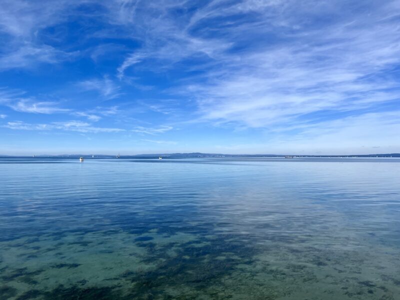 A wide open sky over a beautiful blue lake. The sky is spare with wispy white clouds. A few sailboats dot the surface of the lake towards the horizon. Closer to the camera, one can see sand and the underwater foliage